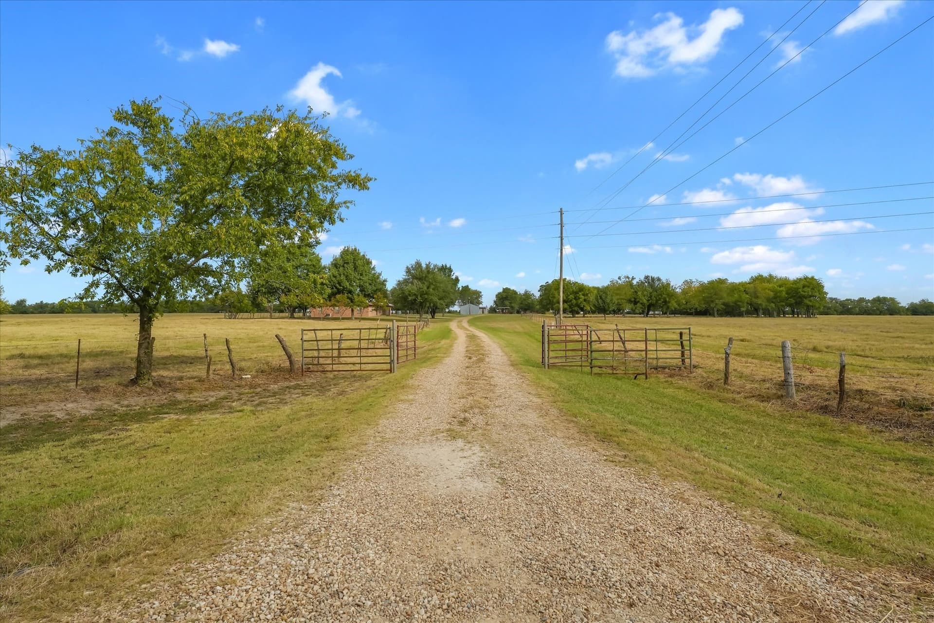 101 acres in Fannin County - photo 22