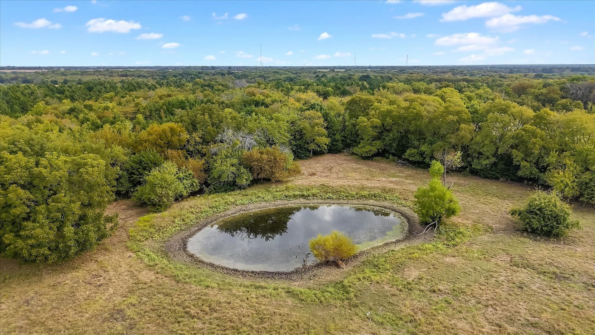 101 acres in Fannin County - photo 38