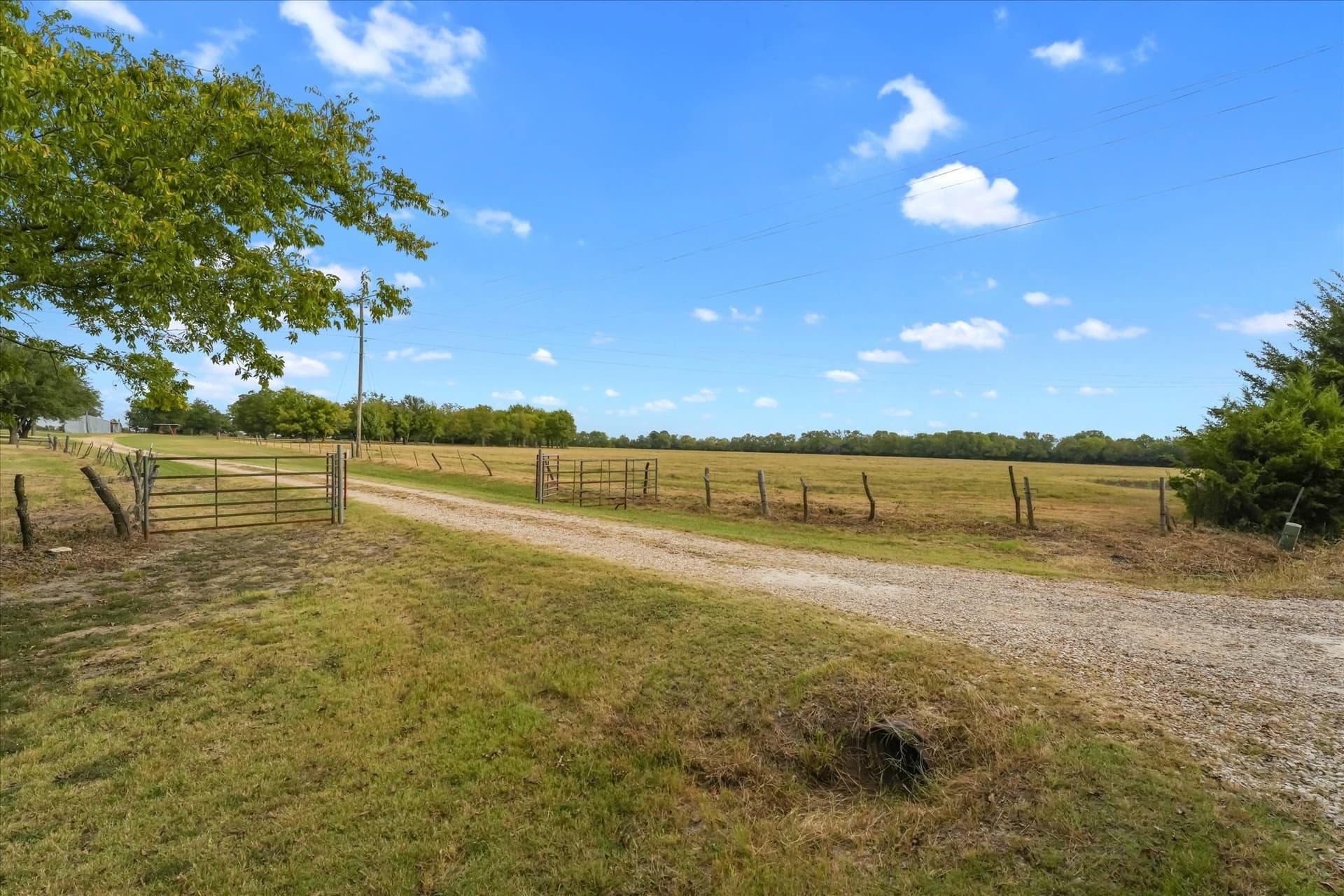 101 acres in Fannin County - photo 25