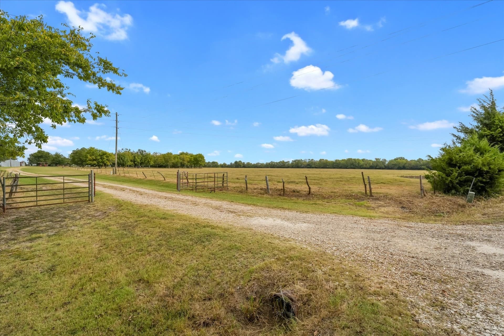 101 acres in Fannin County - photo 24