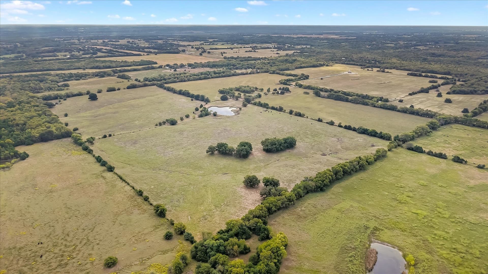 101 acres in Fannin County - photo 40