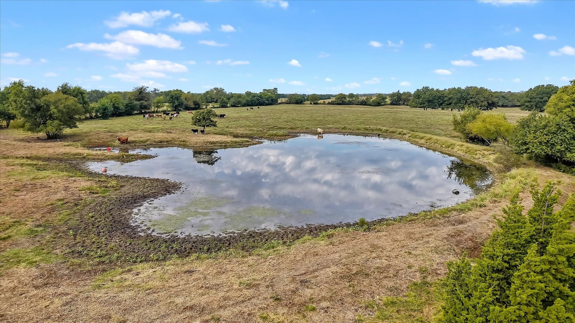101 acres in Fannin County - photo 39