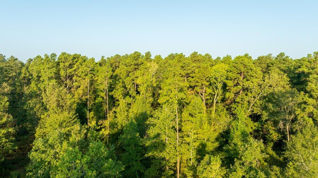 21 acres in Texas County - photo 4