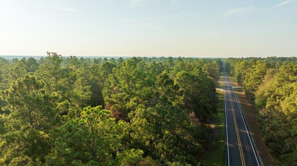 21 acres in Texas County - photo 12