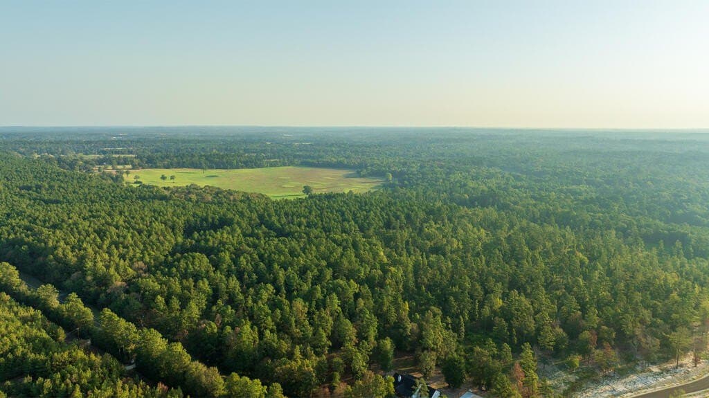 21 acres in Texas County - photo 13