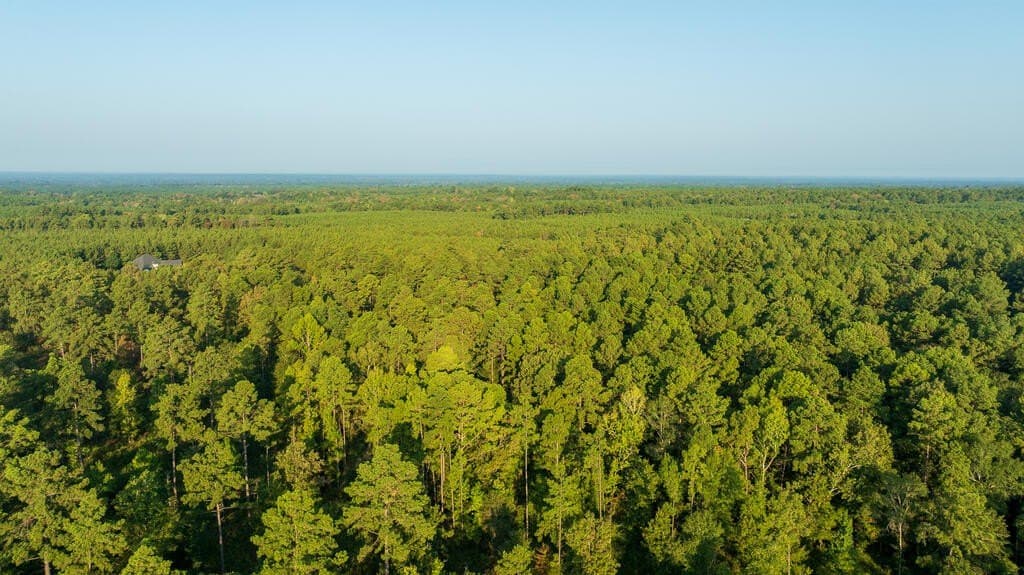 21 acres in Texas County - photo 2