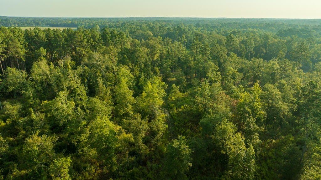 21 acres in Texas County - photo 3
