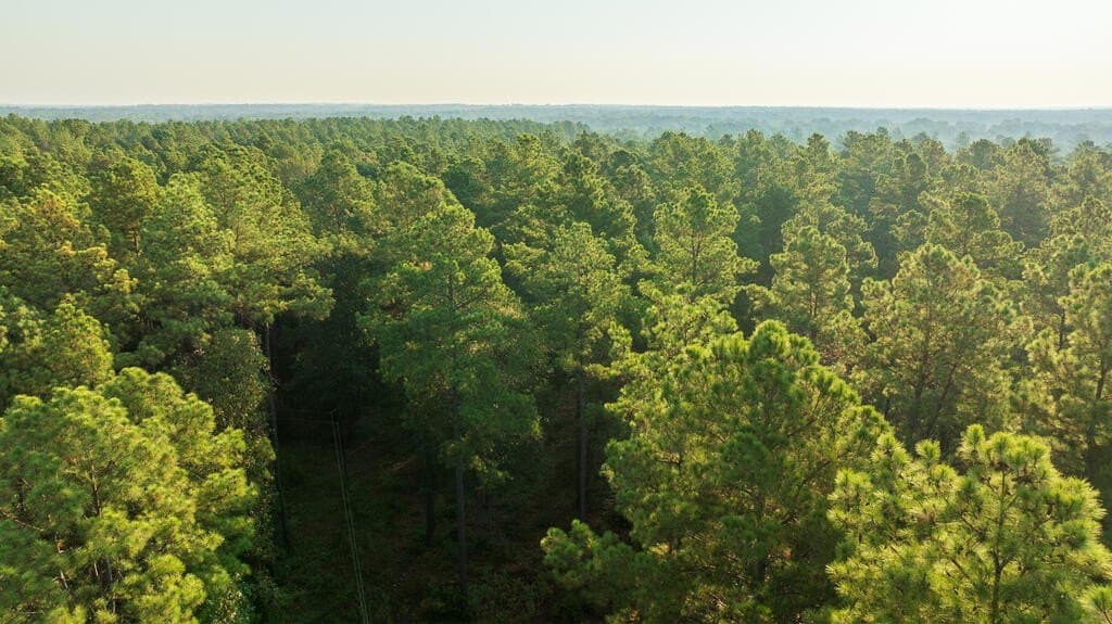 21 acres in Texas County - photo 7