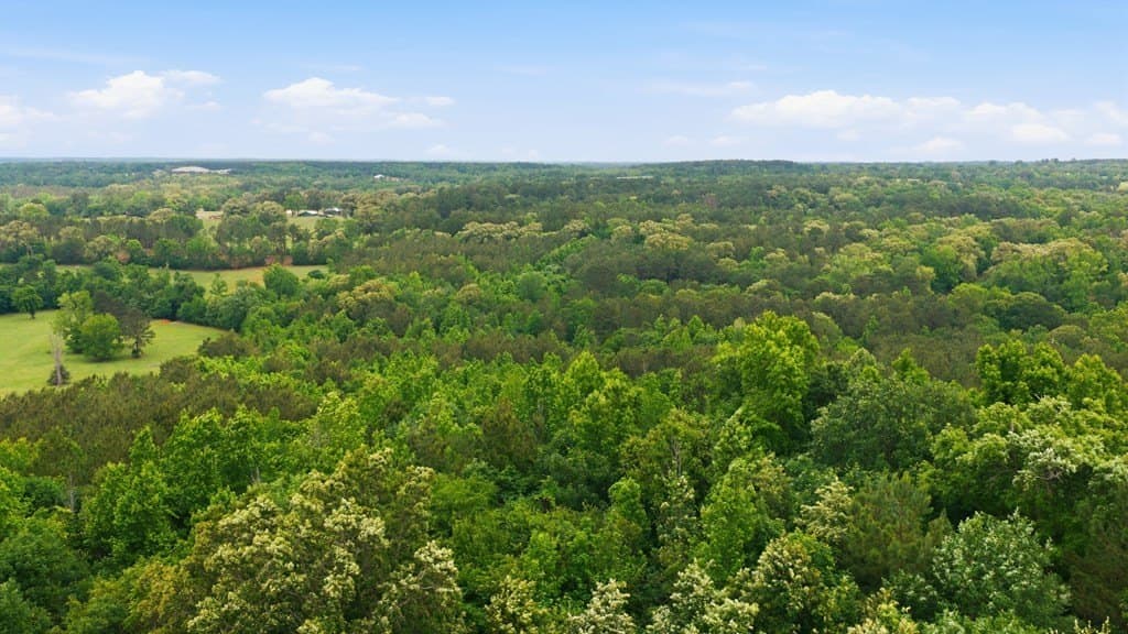 52.52 acres in Cherokee County - photo 54