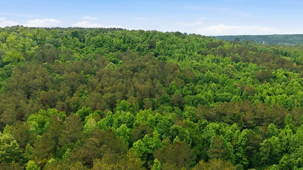 52.52 acres in Cherokee County - photo 53