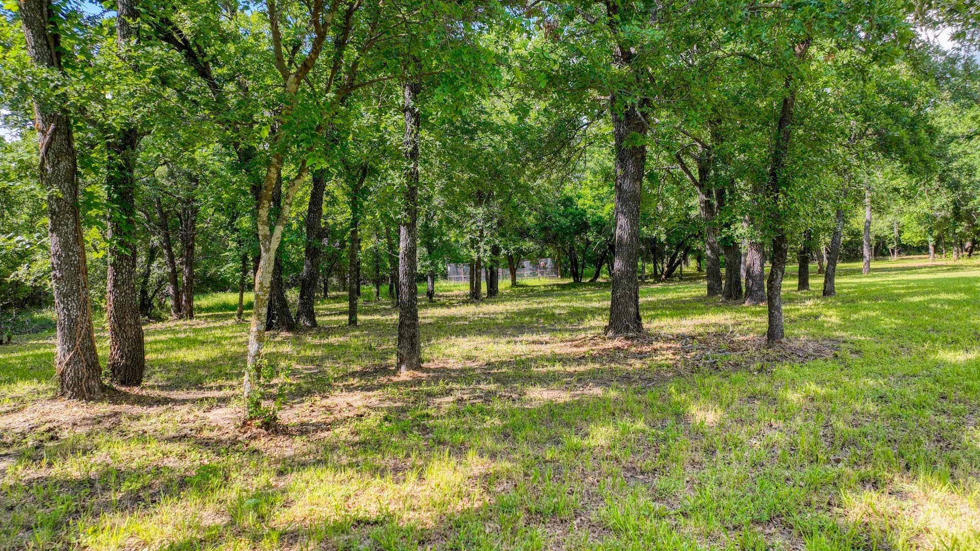 2.03 acres in Parker County - photo 15