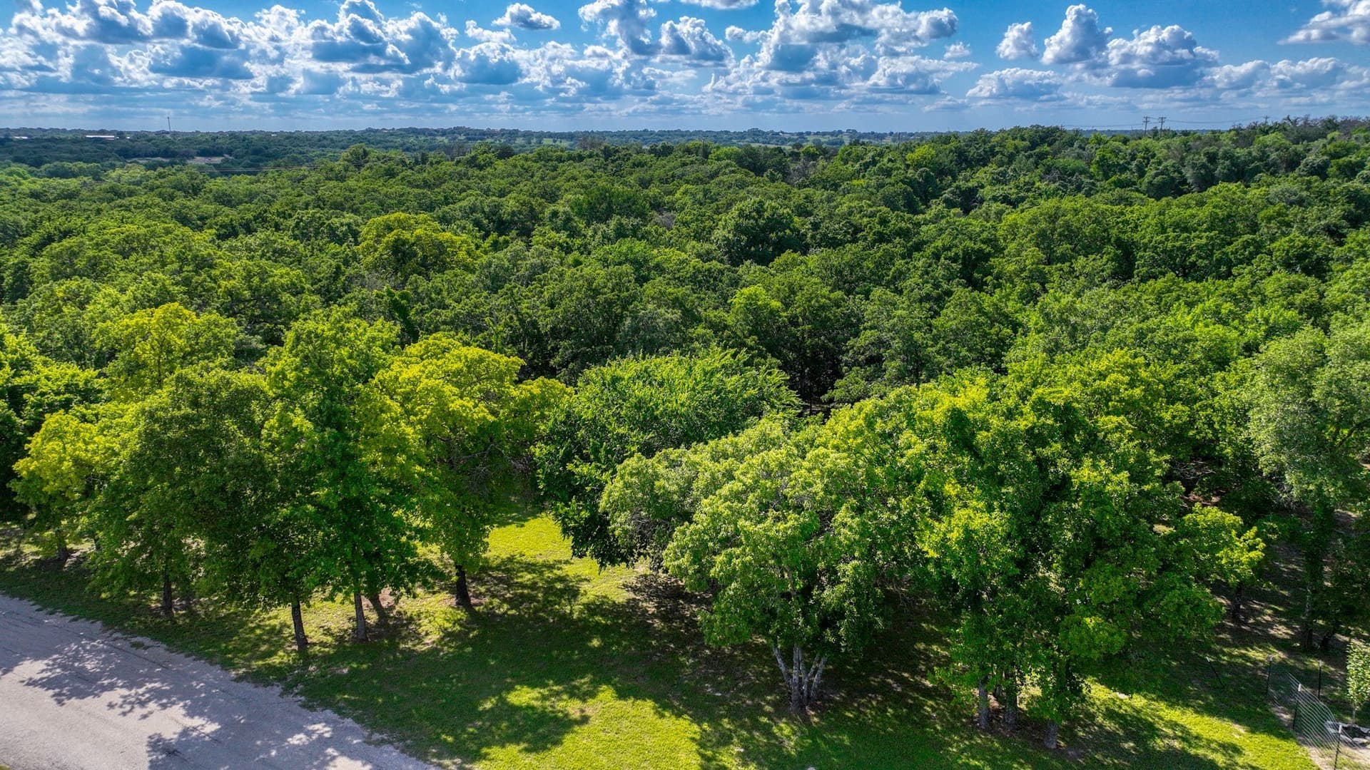 2.03 acres in Parker County - photo 9