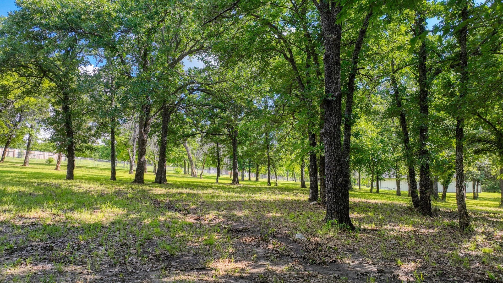 2.03 acres in Parker County - photo 13
