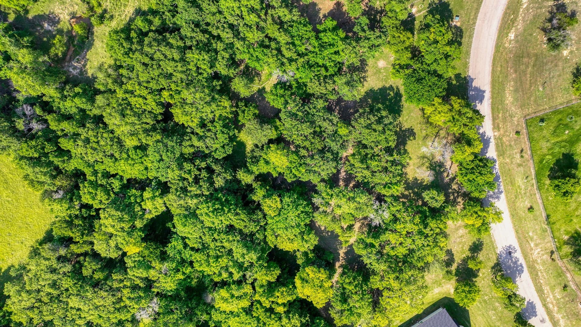 2.03 acres in Parker County - photo 18