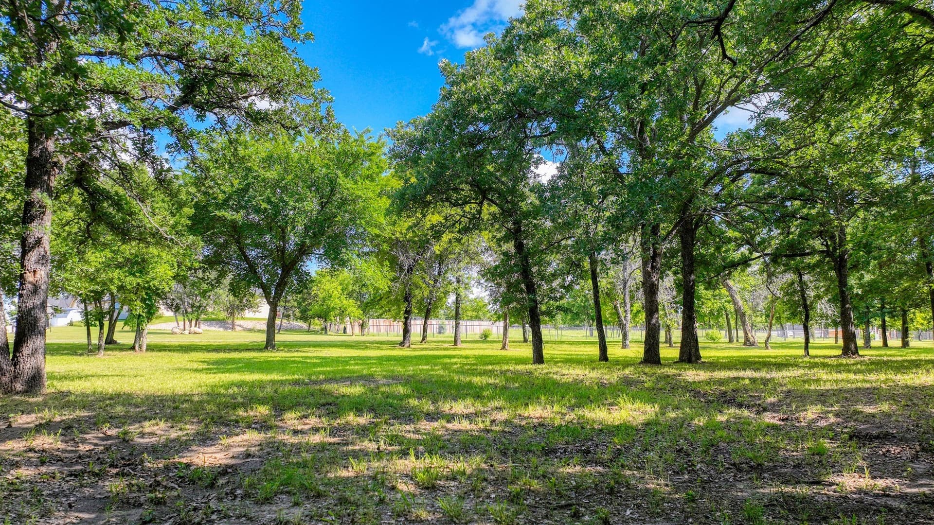 2.03 acres in Parker County - photo 12
