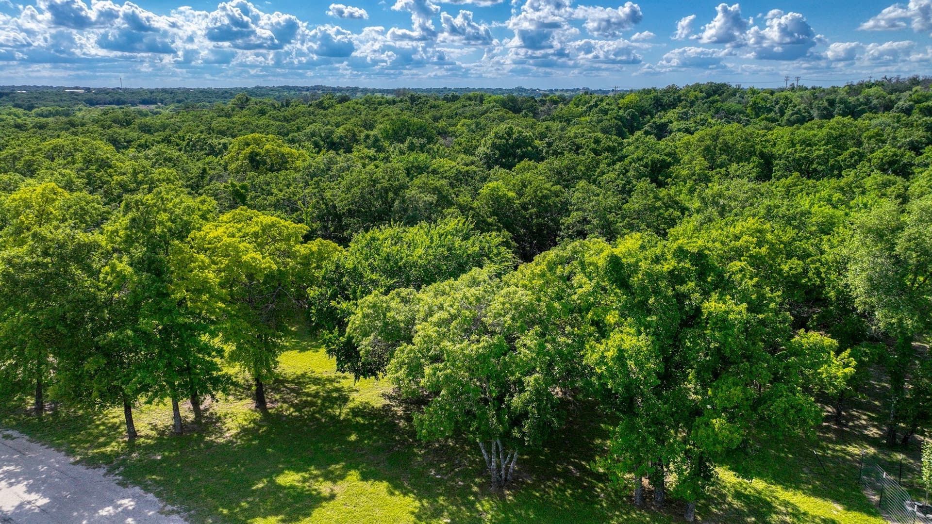 2.03 acres in Parker County - photo 17