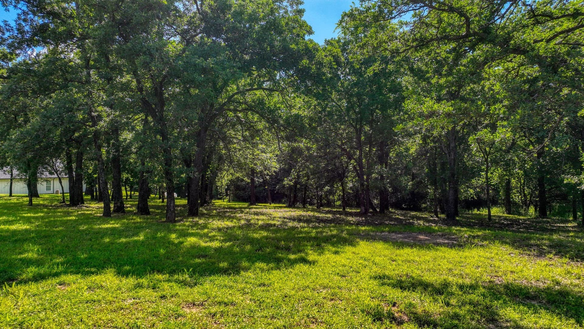 2.03 acres in Parker County - photo 8