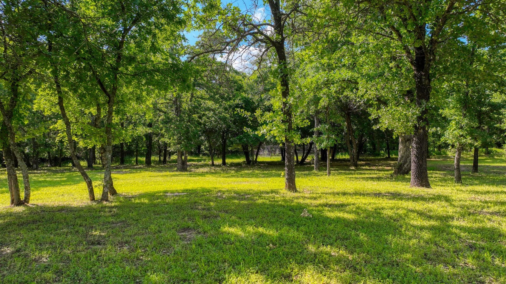 2.03 acres in Parker County - photo 6