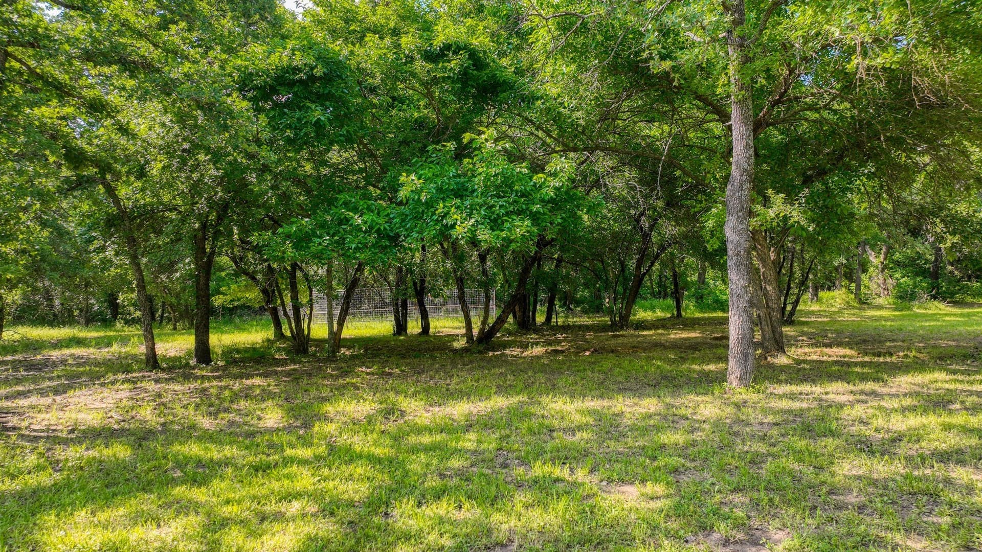 2.03 acres in Parker County - photo 7