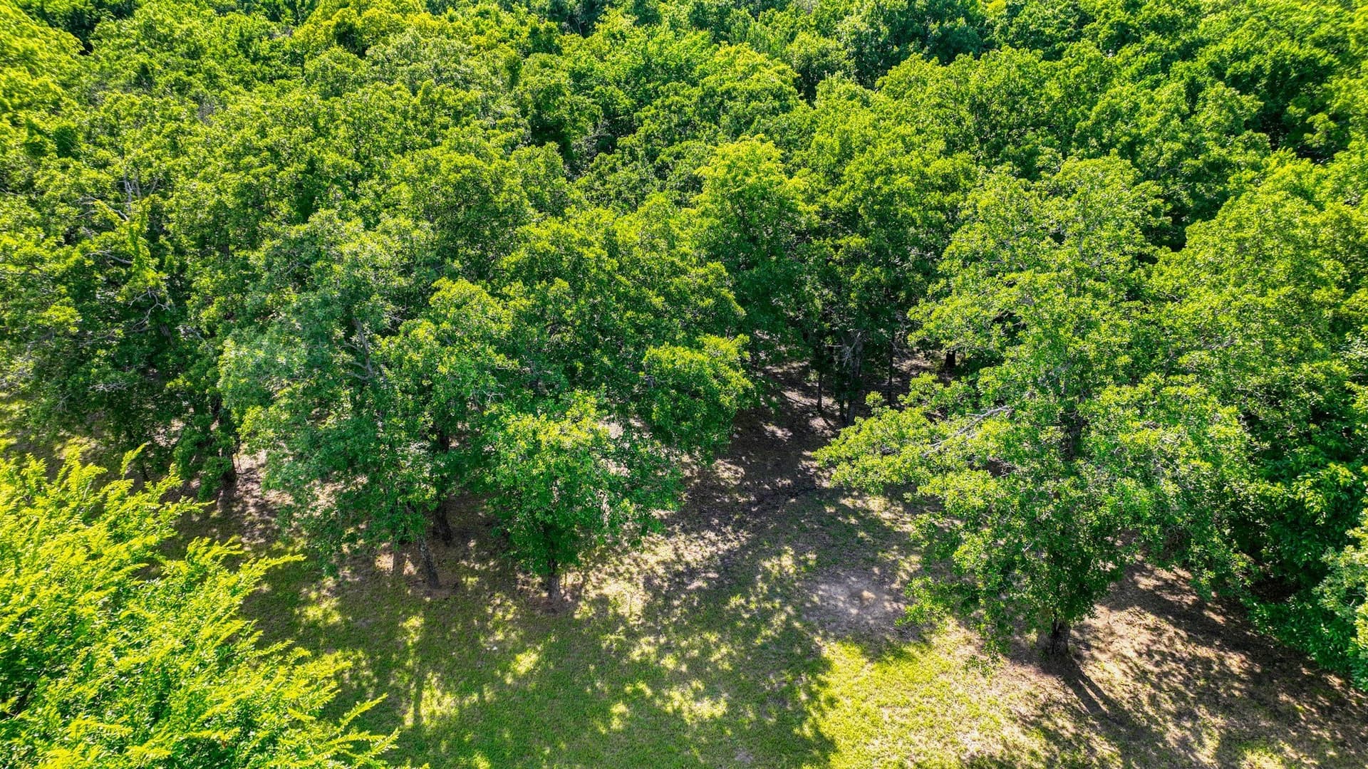 2.03 acres in Parker County - photo 10