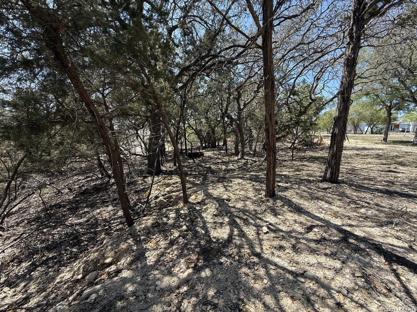 0.22 acres in Comal County gallery image 4