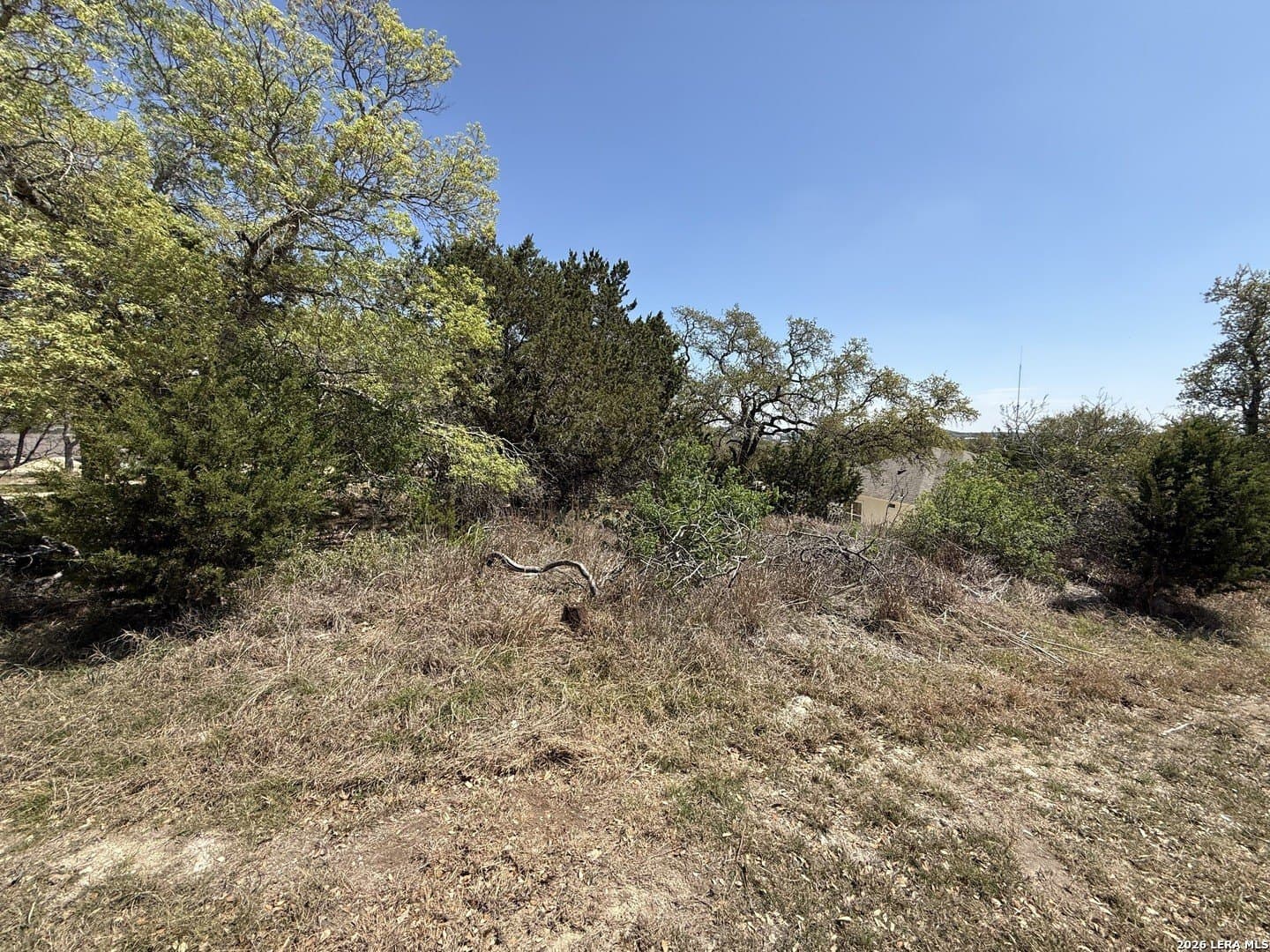 0.22 acres in Comal County gallery image 2
