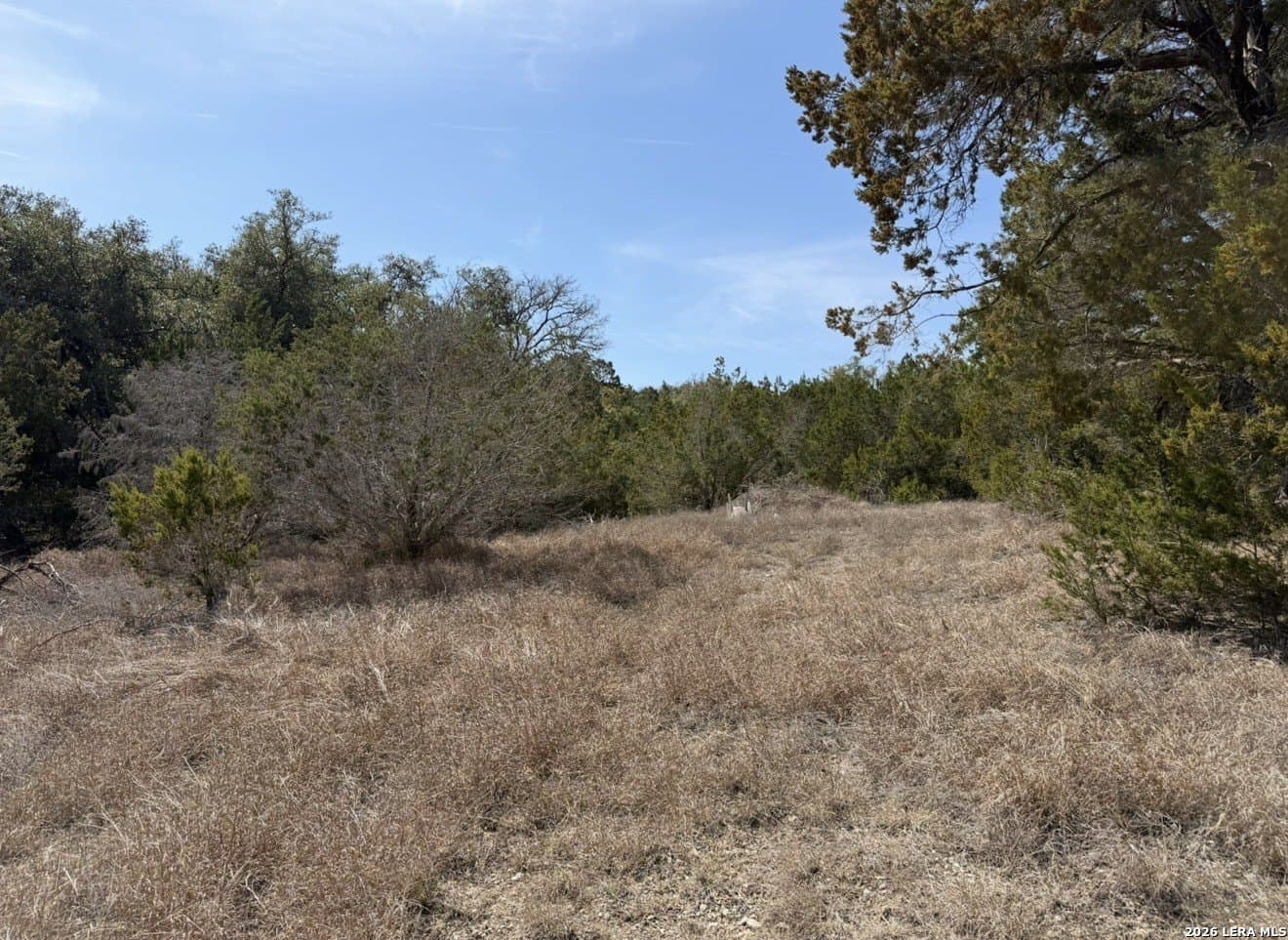 5 acres in Comal County - photo 7