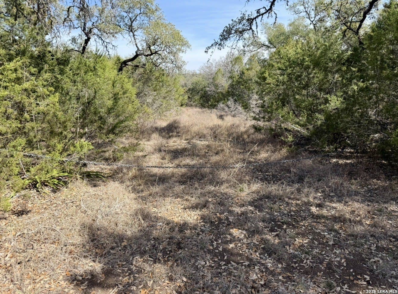 5 acres in Comal County gallery image 3