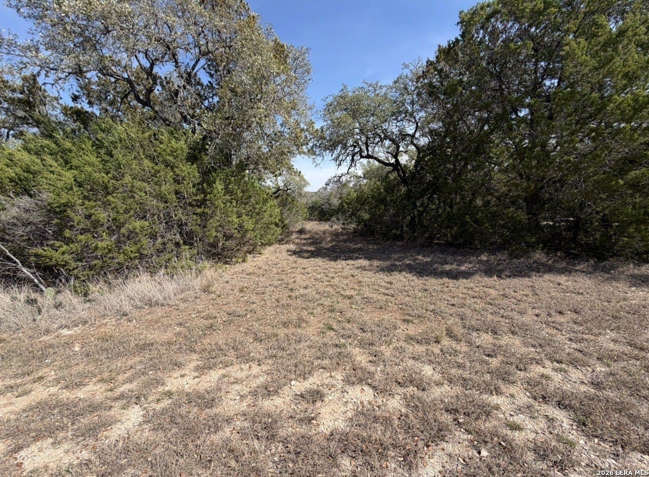 5 acres in Comal County