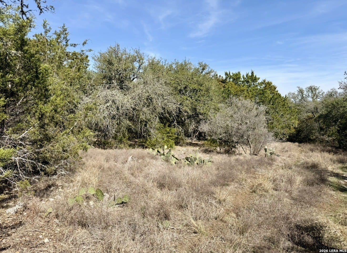 5 acres in Comal County featured view