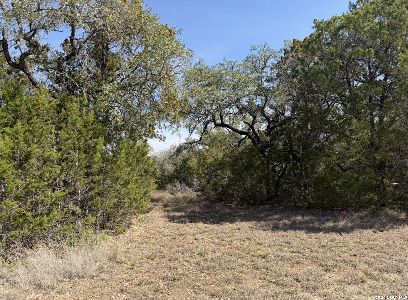 5 acres in Comal County - photo 9