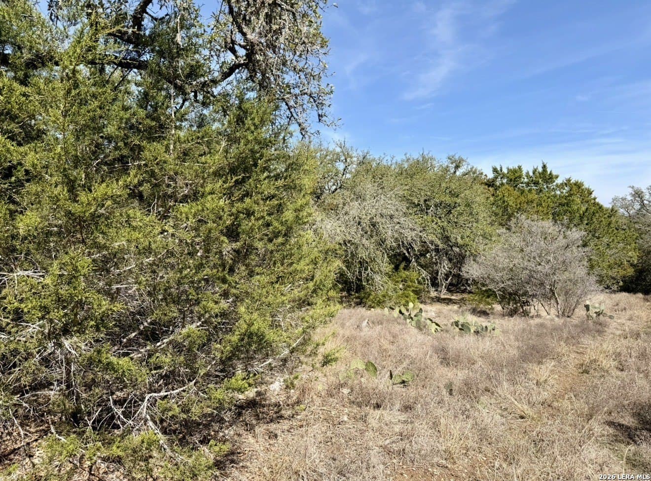 5 acres in Comal County gallery image 4