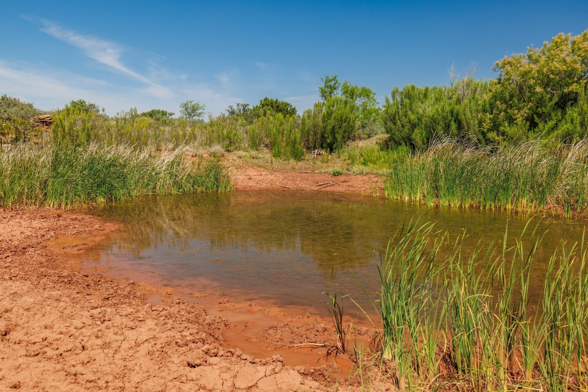 179 acres in Fisher County gallery image 4