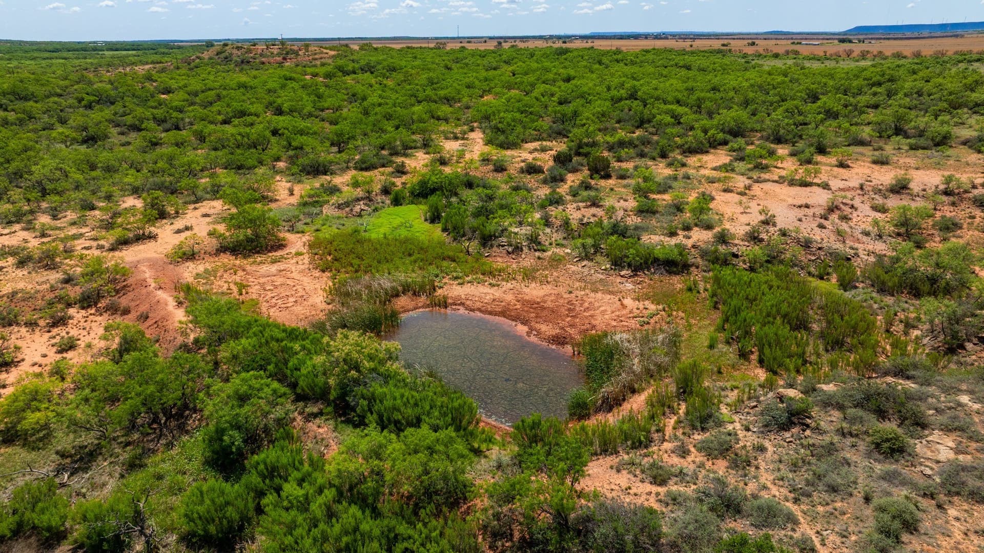 179 acres in Fisher County - photo 17