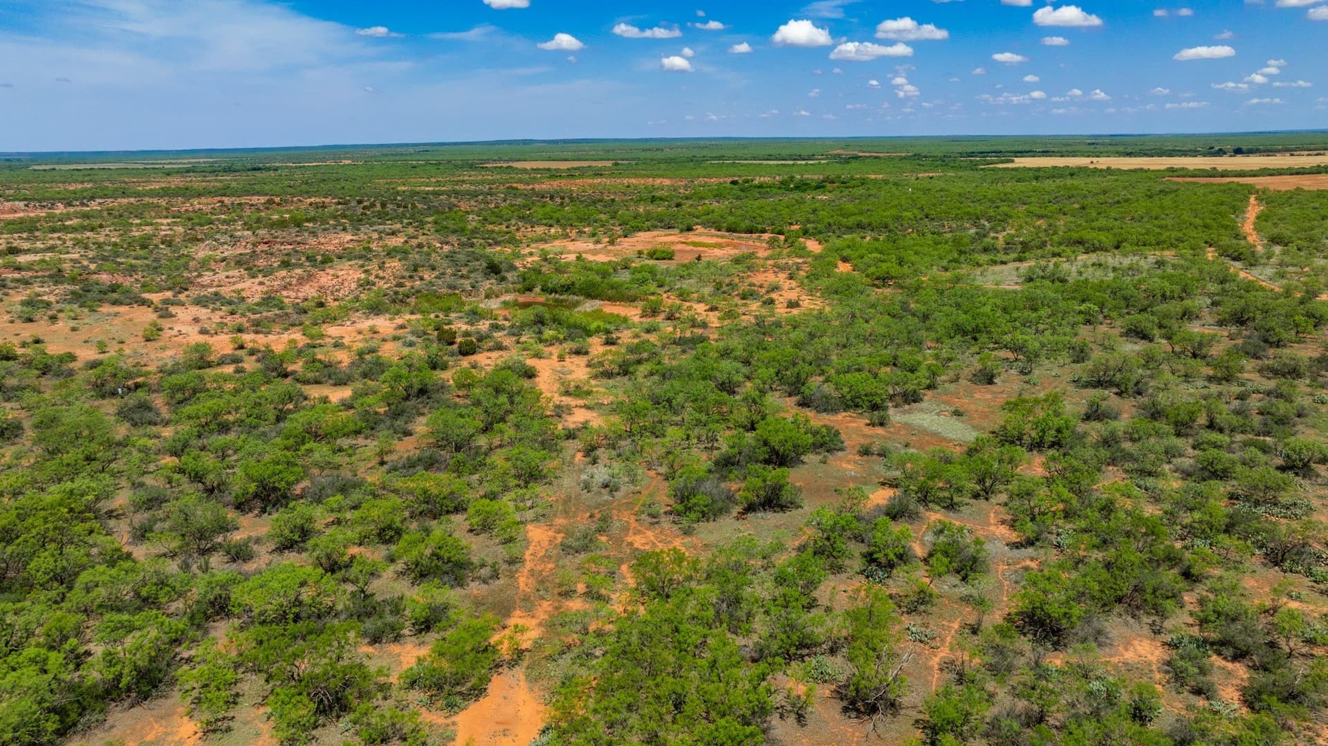 179 acres in Fisher County - photo 24