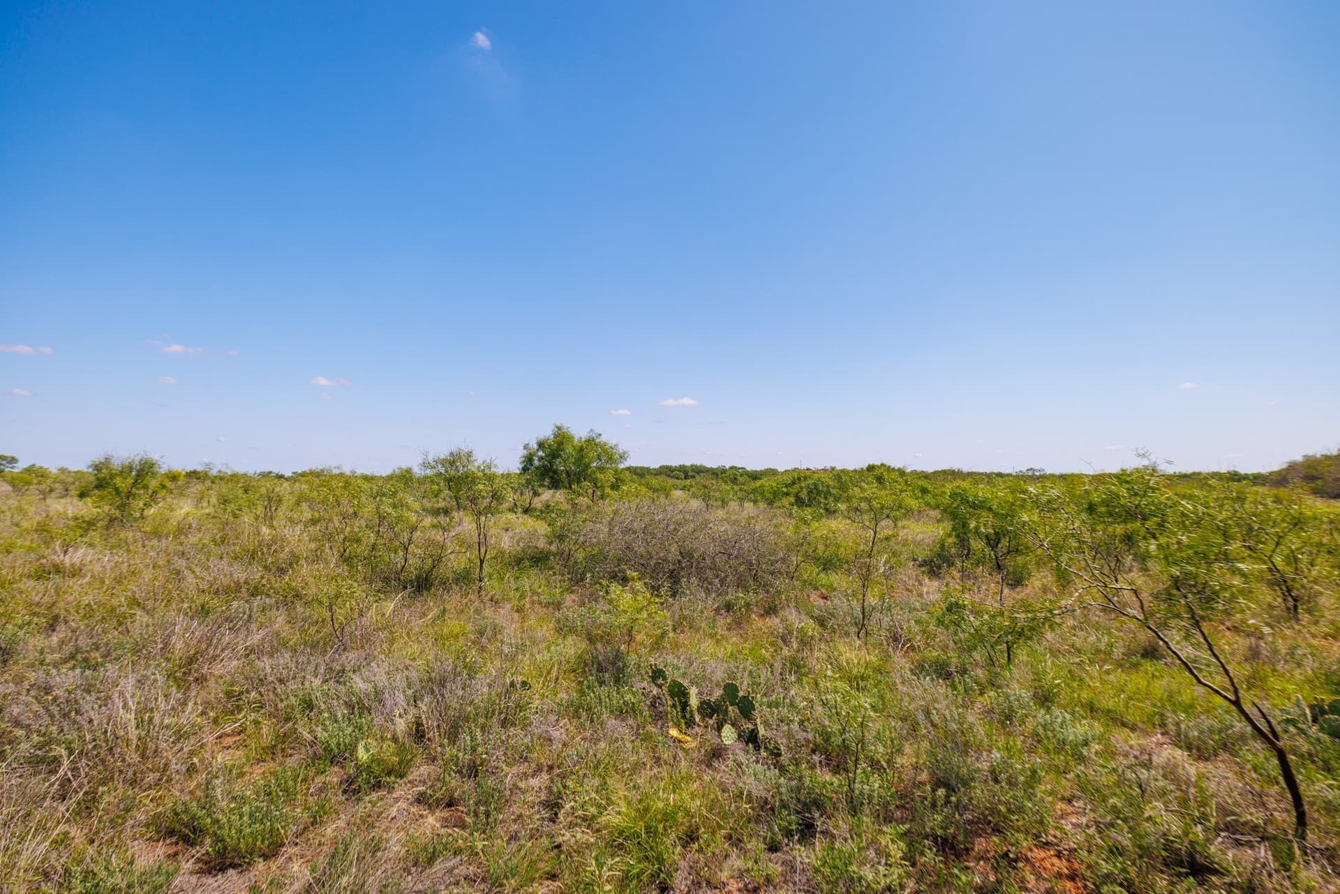 179 acres in Fisher County - photo 8