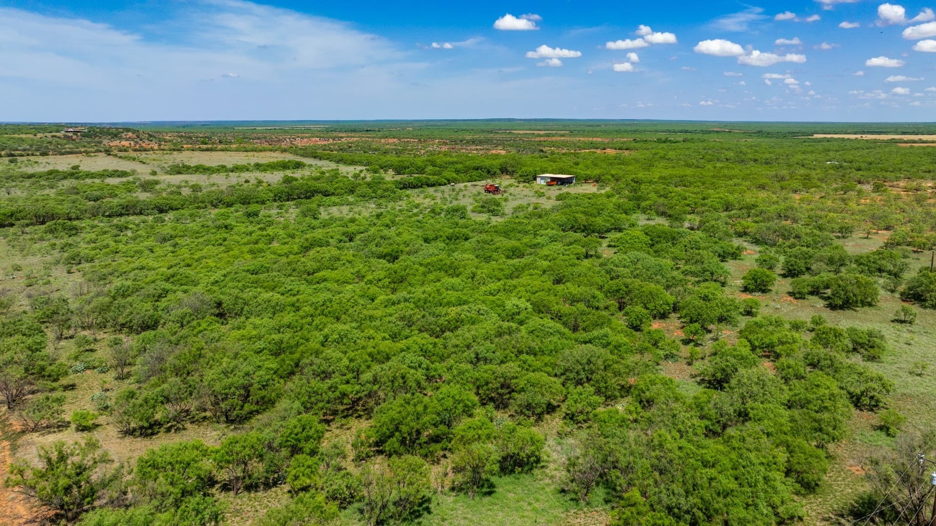 179 acres in Fisher County - photo 28