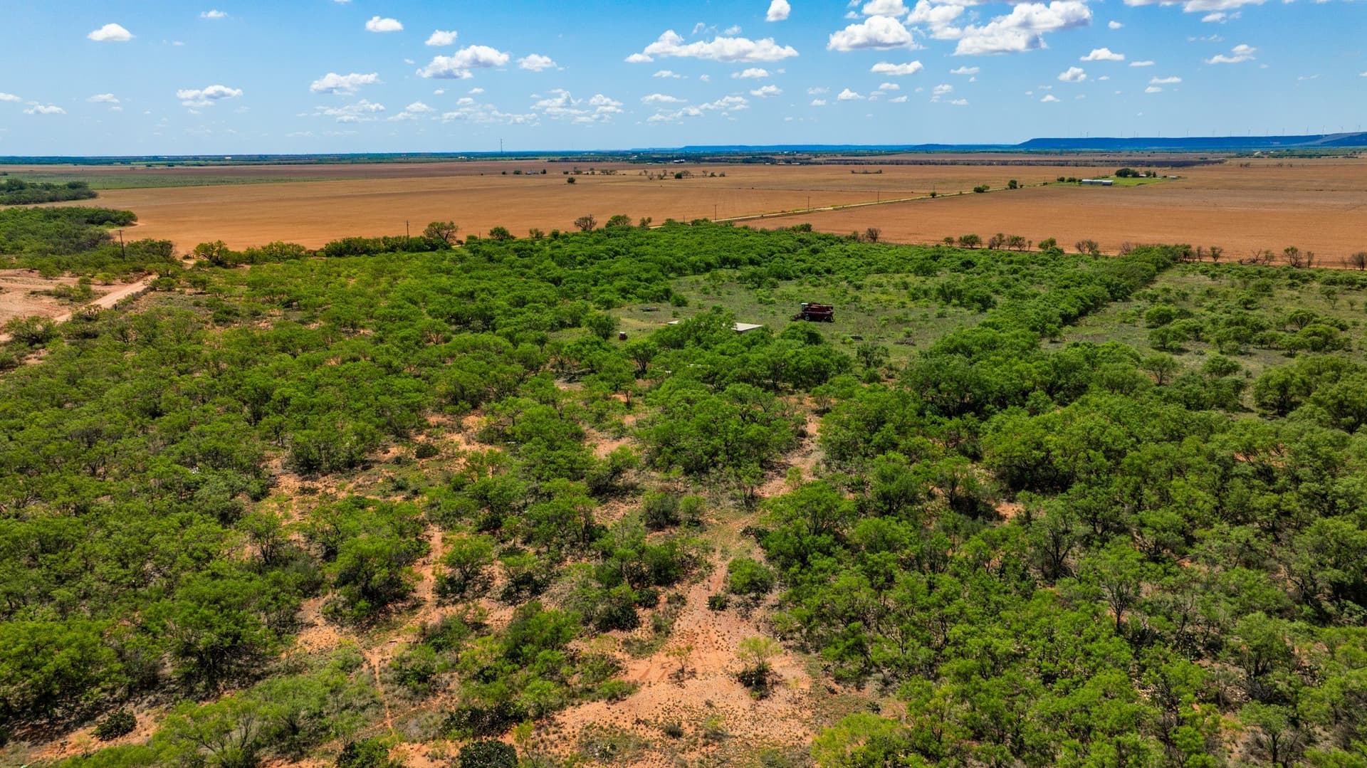 179 acres in Fisher County - photo 25