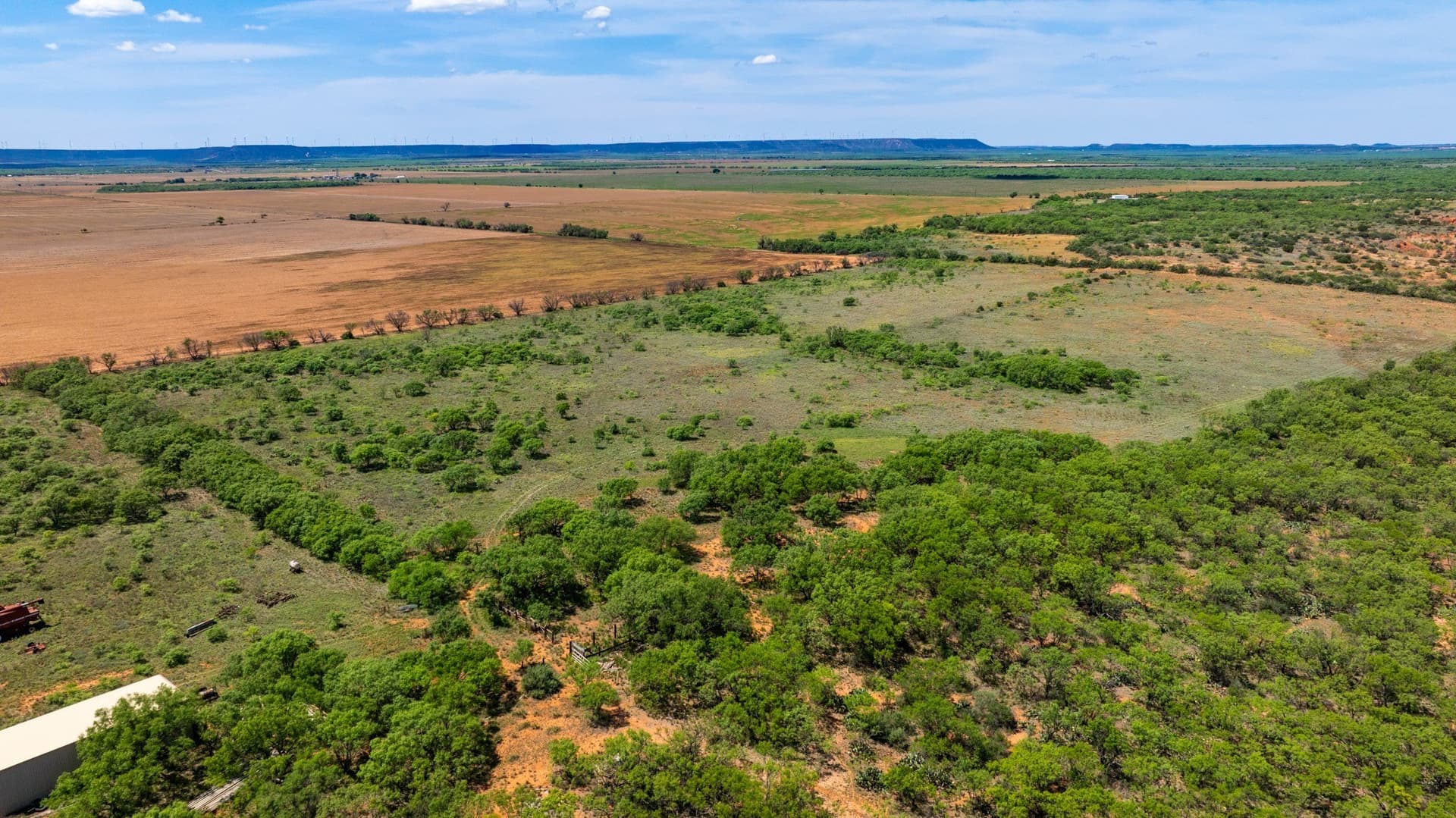179 acres in Fisher County - photo 26