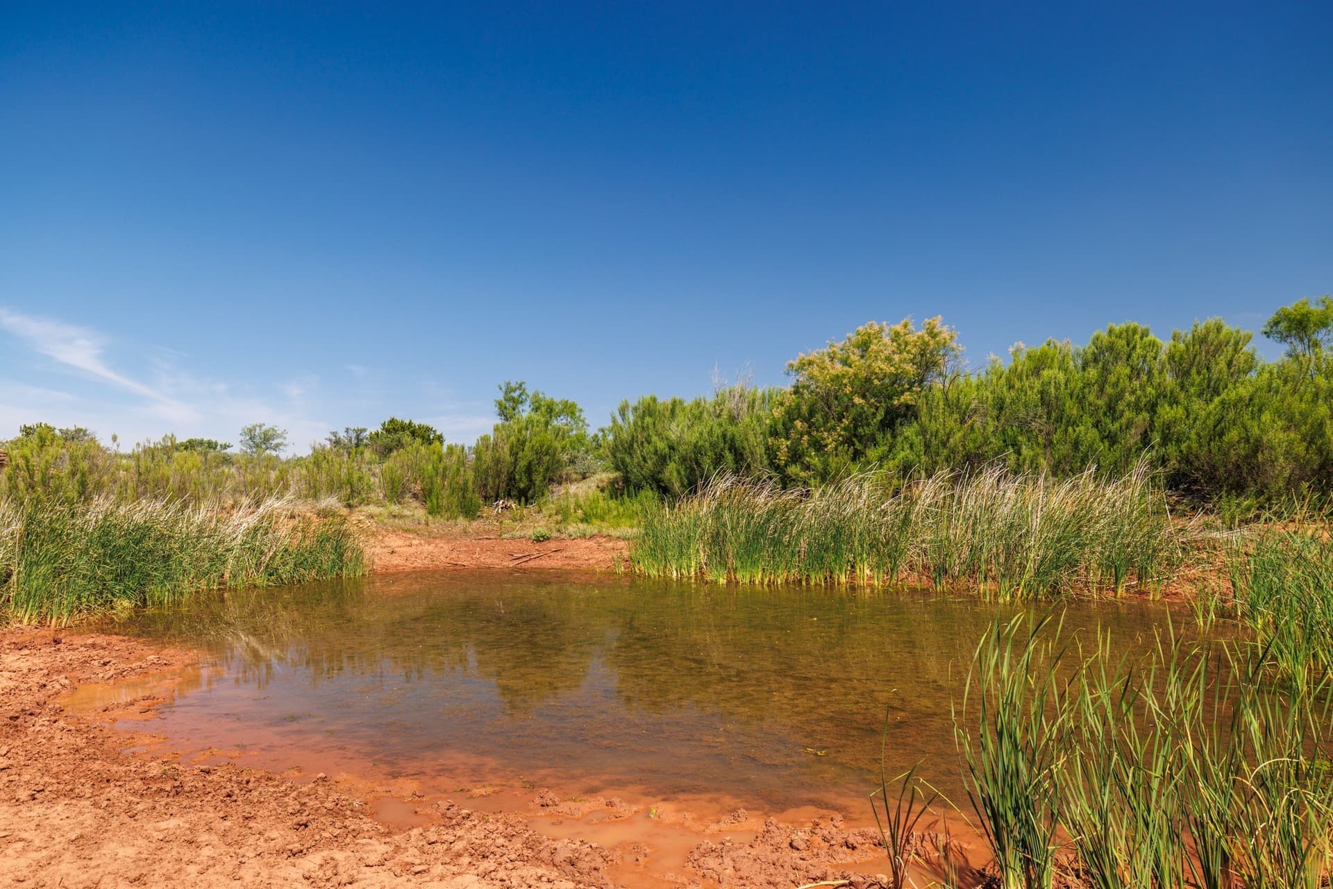 179 acres in Fisher County featured view
