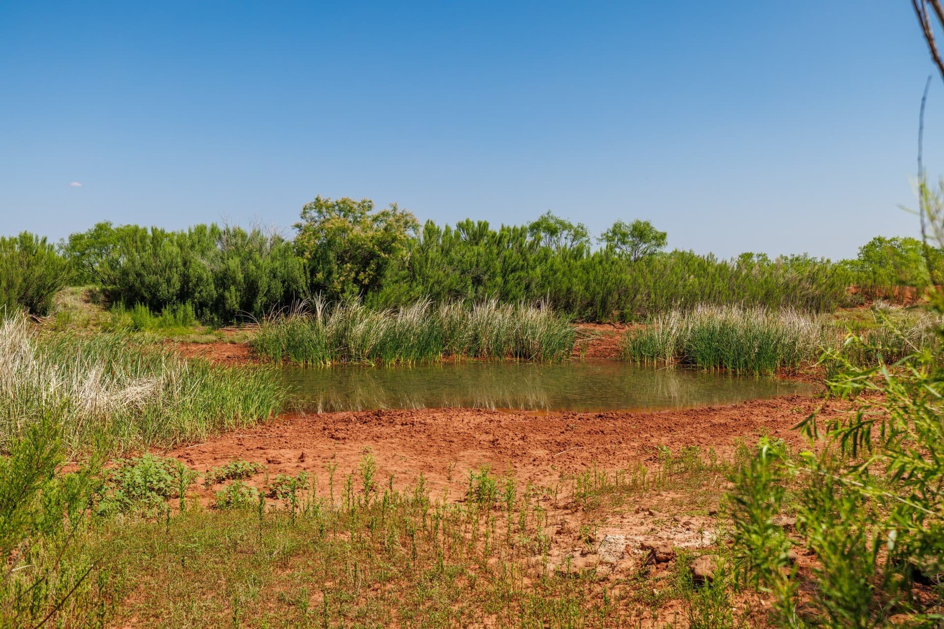 179 acres in Fisher County gallery image 3