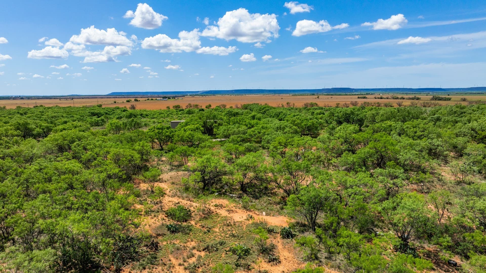 179 acres in Fisher County - photo 22