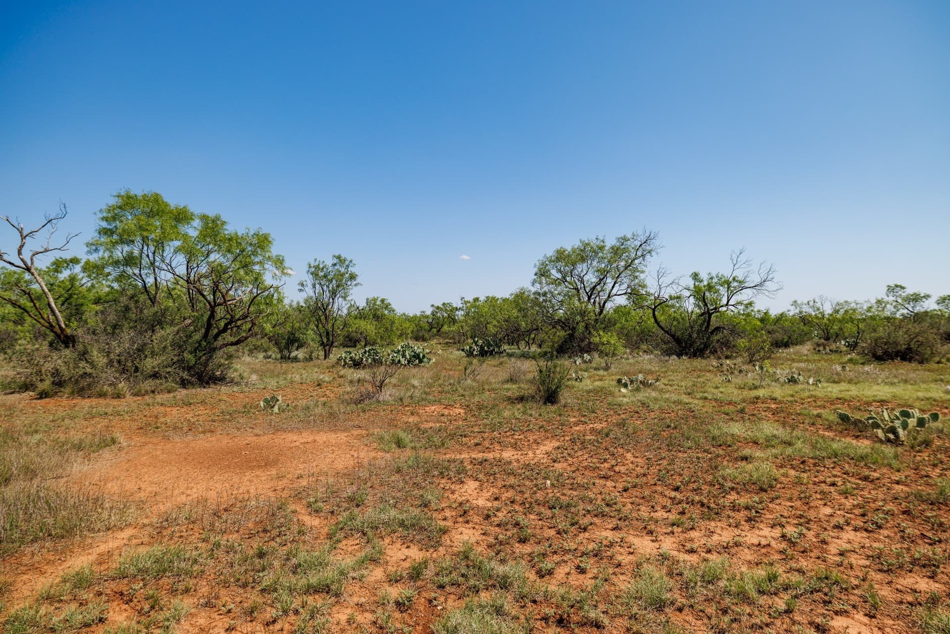 179 acres in Fisher County - photo 7