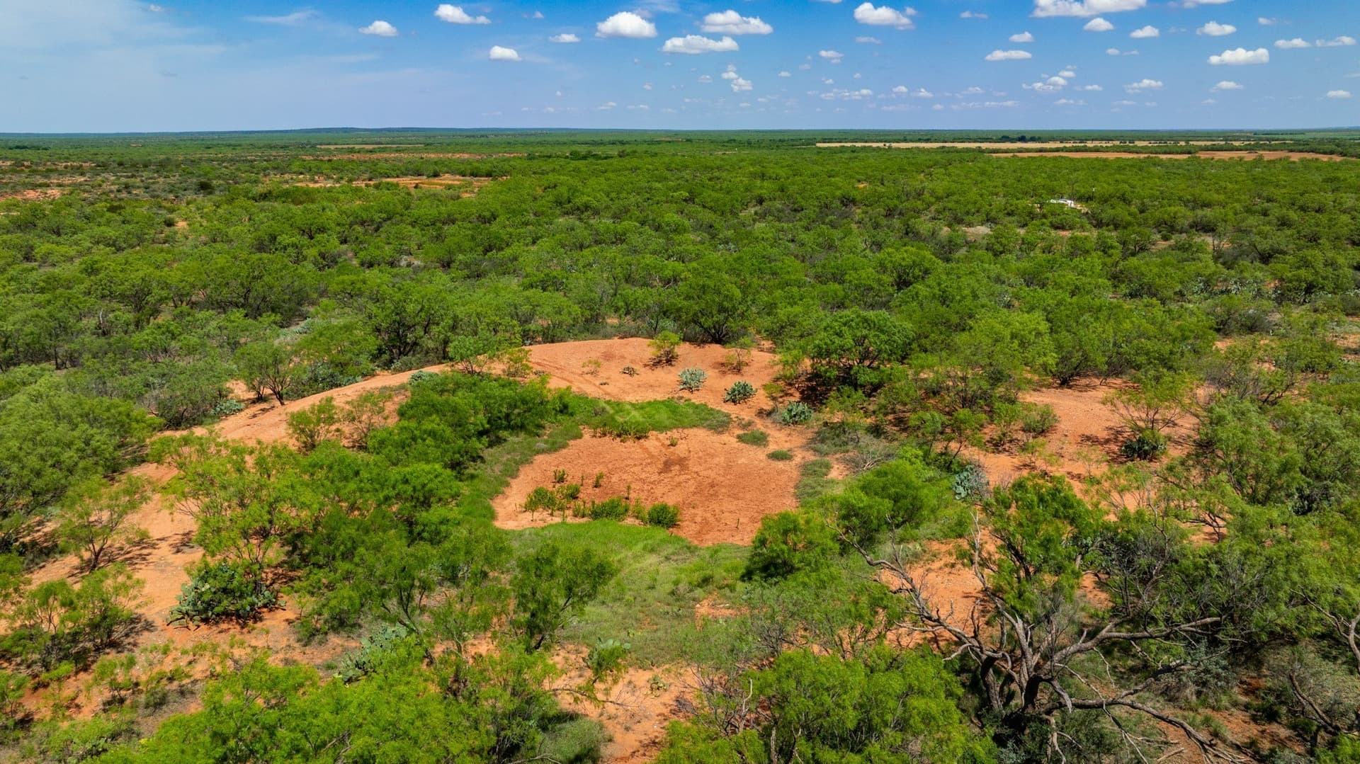 179 acres in Fisher County - photo 21