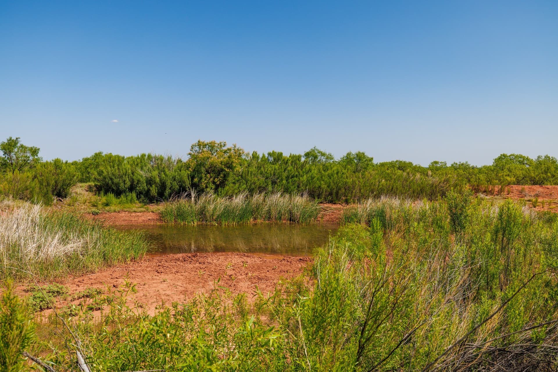 179 acres in Fisher County gallery image 2