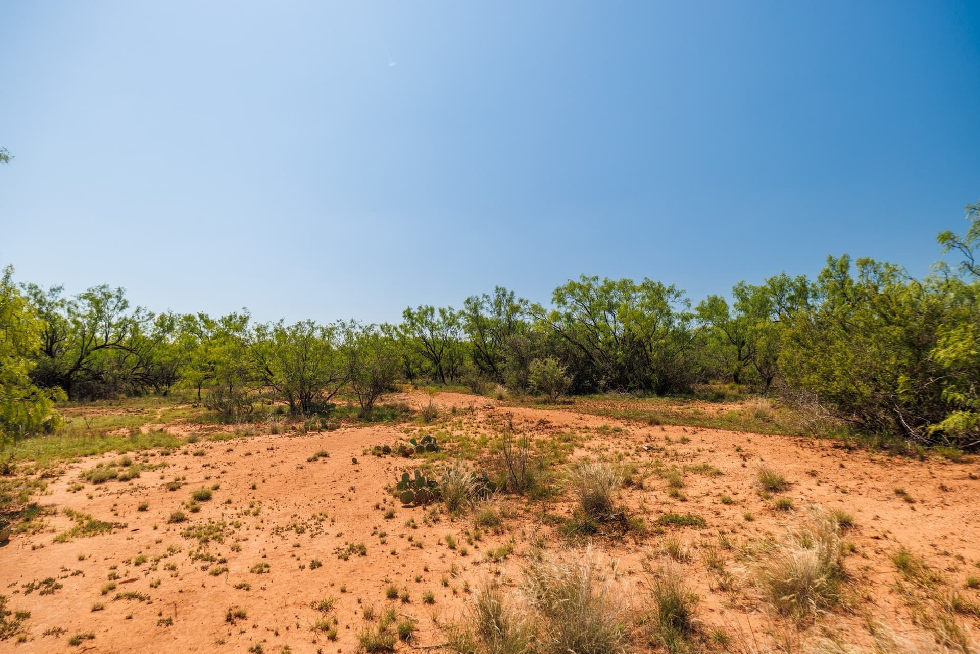 179 acres in Fisher County - photo 6