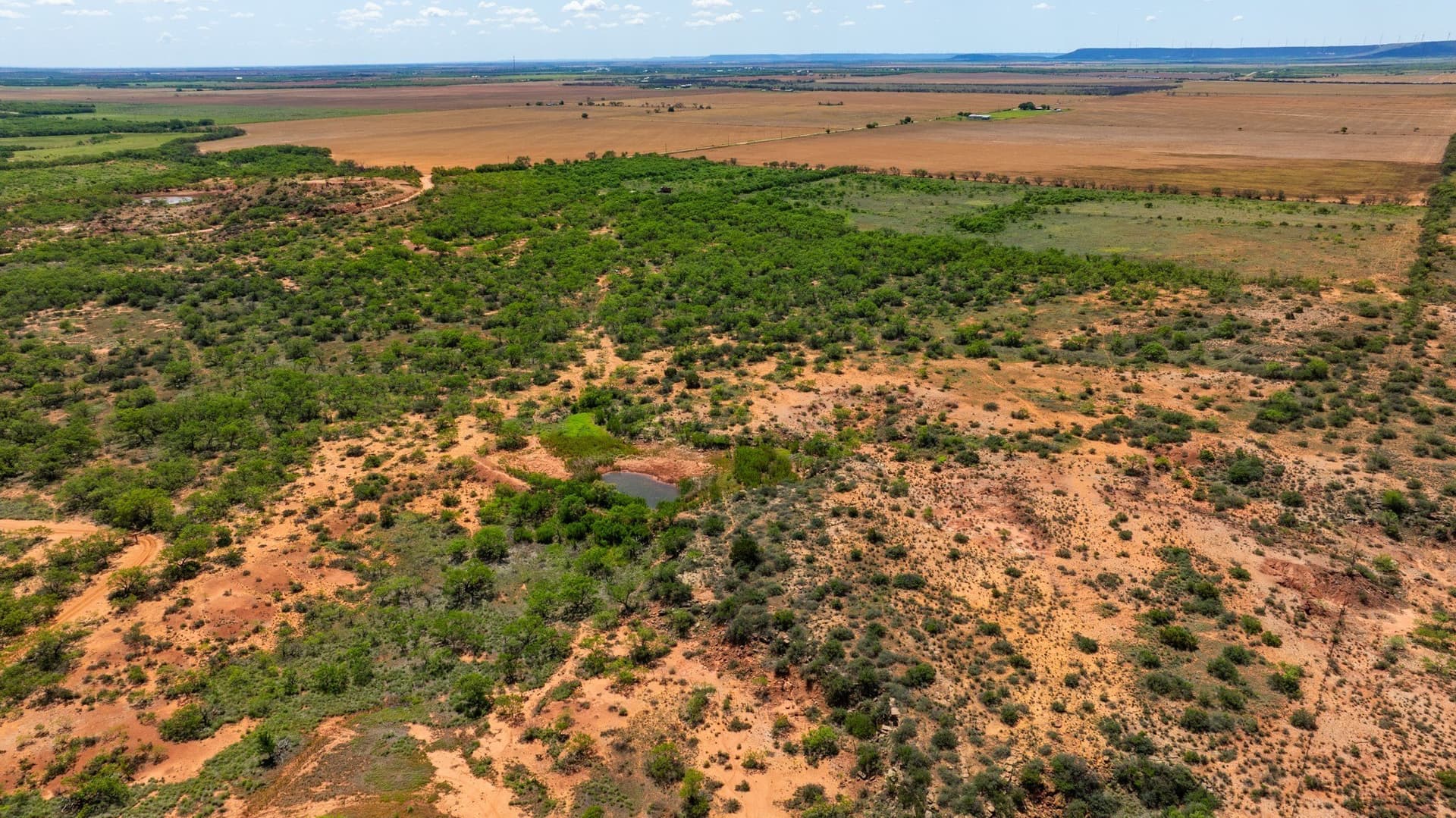 179 acres in Fisher County - photo 16