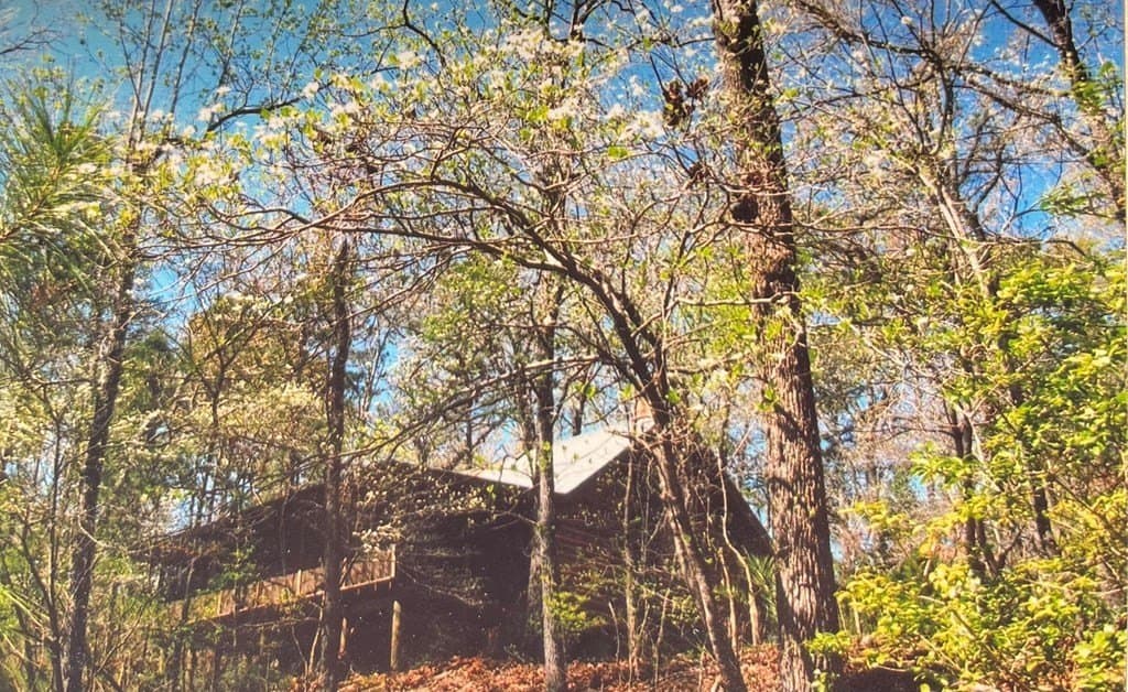 56.35 acres in Texas County gallery image 2