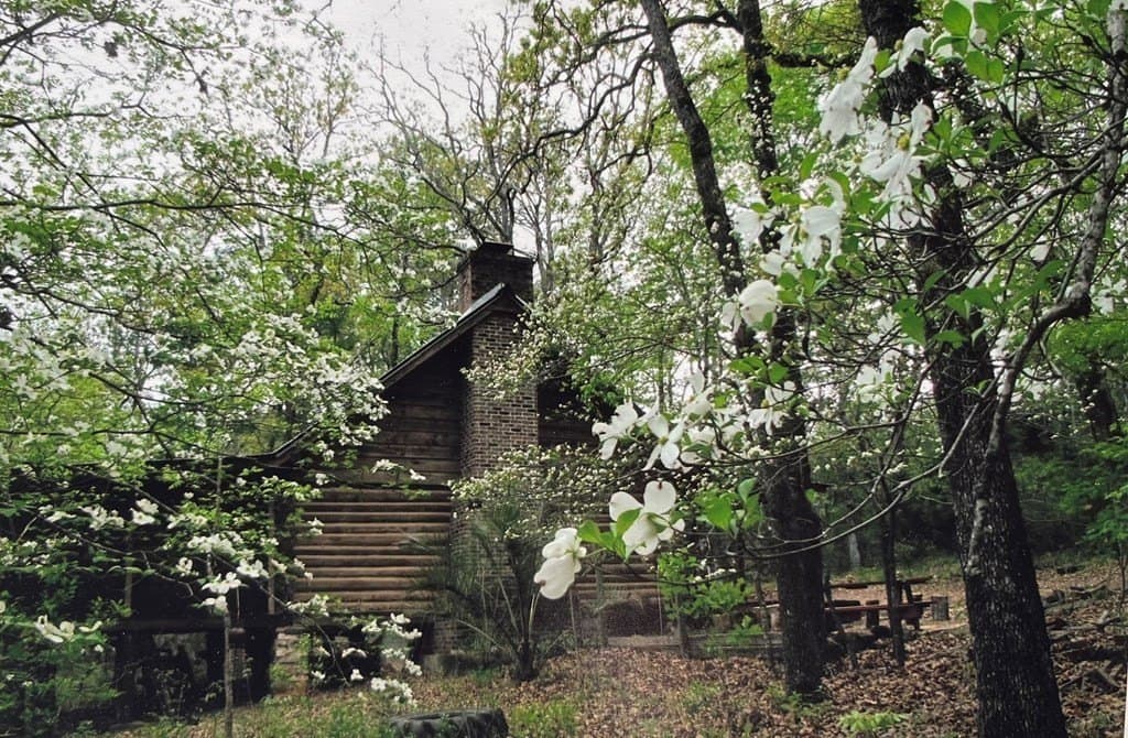 56.35 acres in Texas County gallery image 3