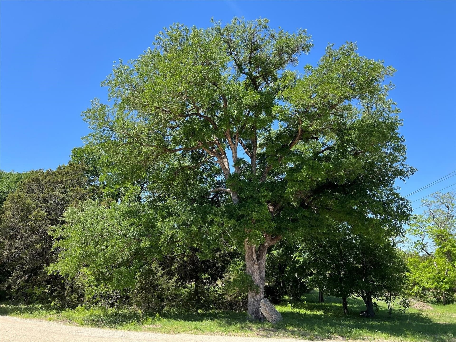 23.55 acres in Erath County - photo 35